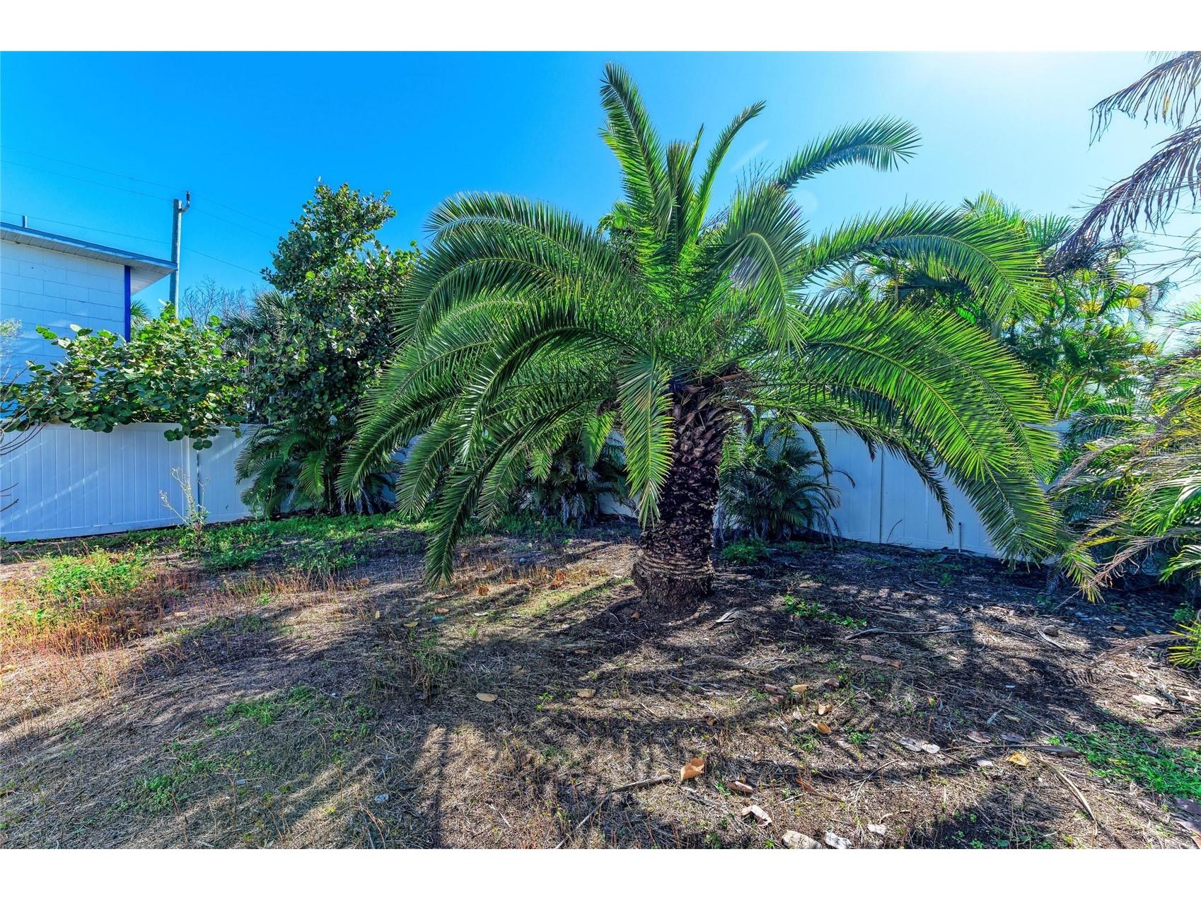 872 North Shore Drive Anna Maria FL 34216 TB8476324 image46
