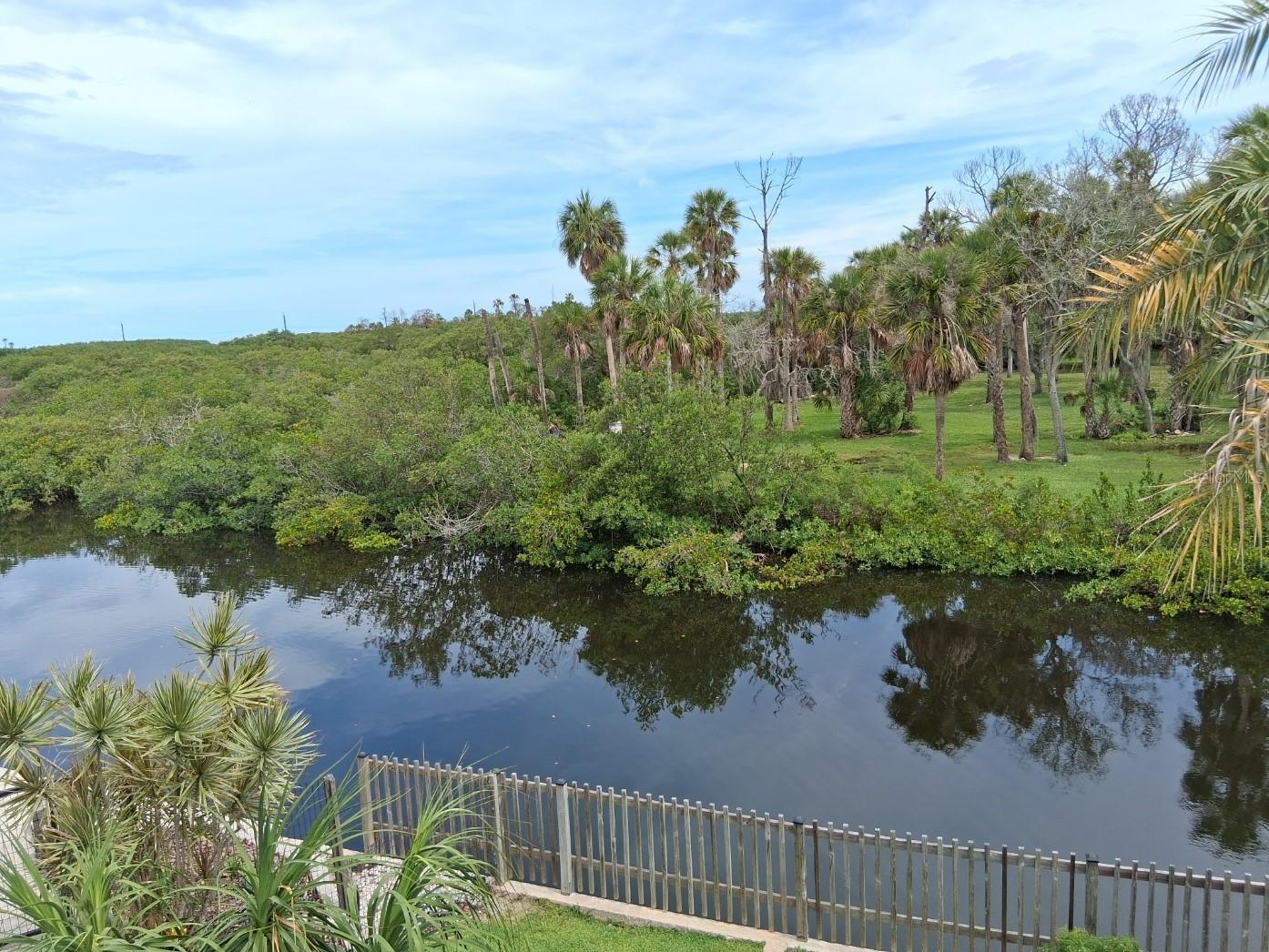 8720 Betty Street Port Richey FL 34668 W7886023 image1