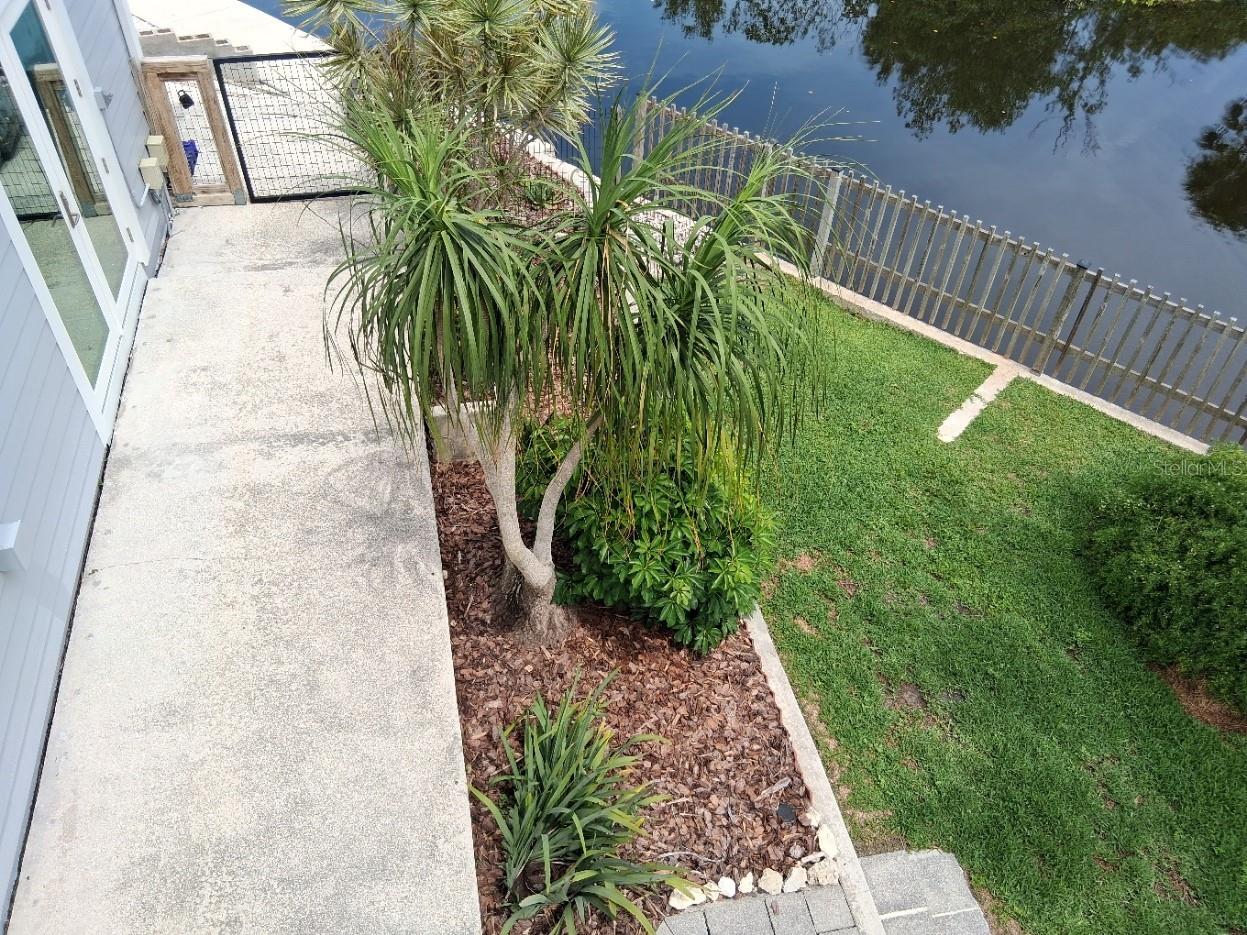 8720 Betty Street Port Richey FL 34668 W7886023 image11