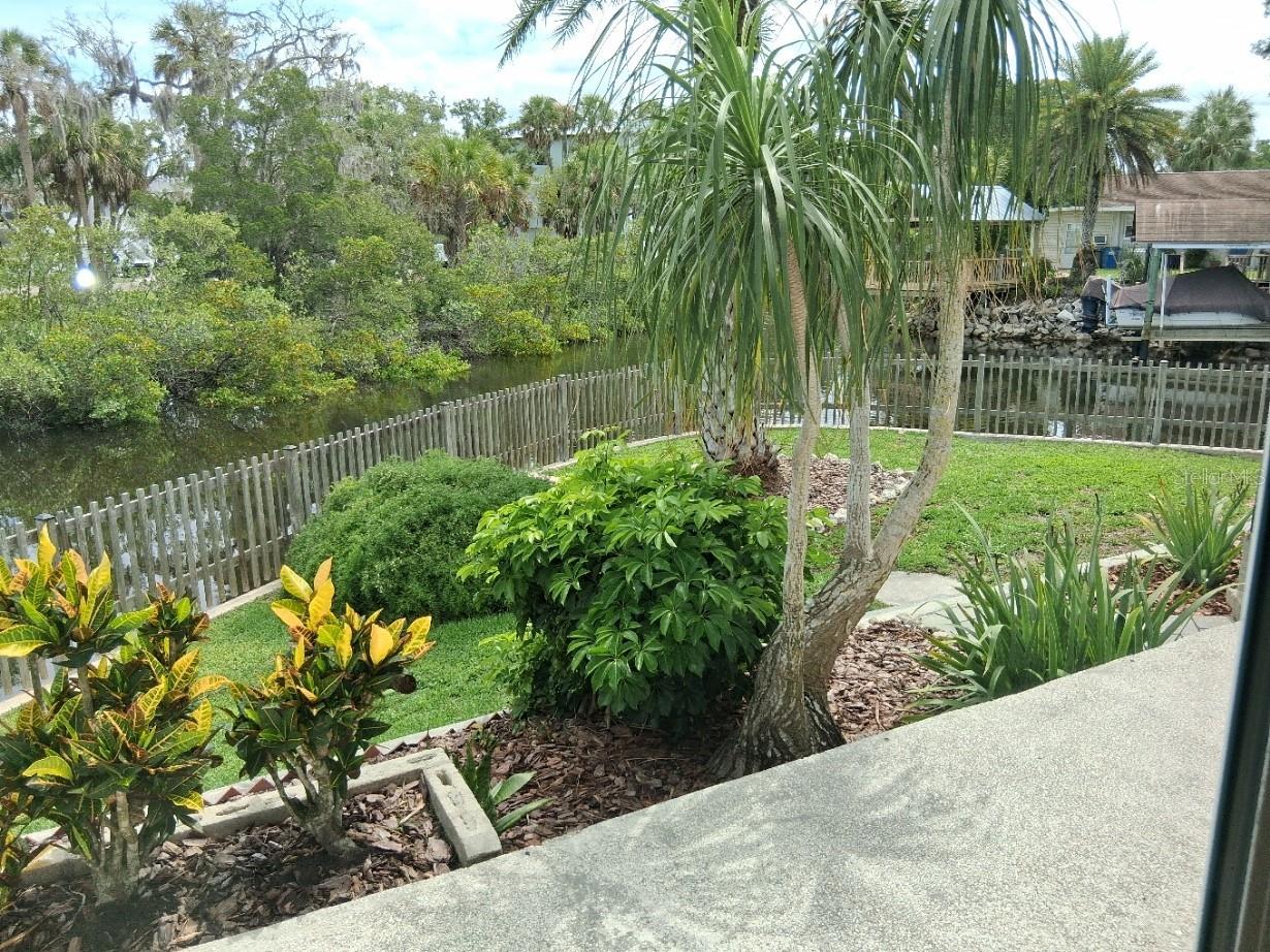 8720 Betty Street Port Richey FL 34668 W7886023 image34