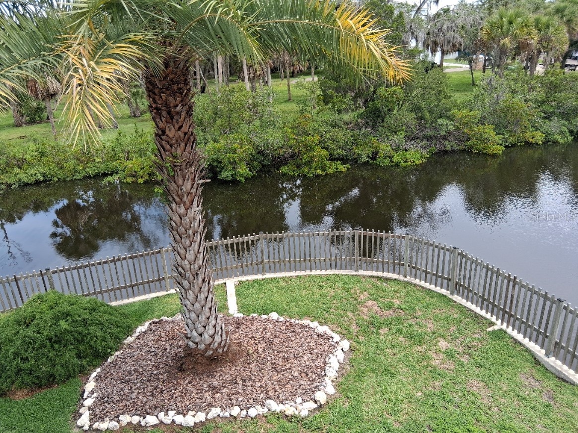 8720 Betty Street Port Richey FL 34668 W7886023 image5