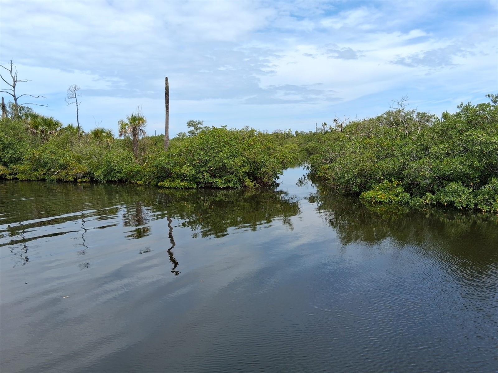 8720 Betty Street Port Richey FL 34668 W7886023 image78
