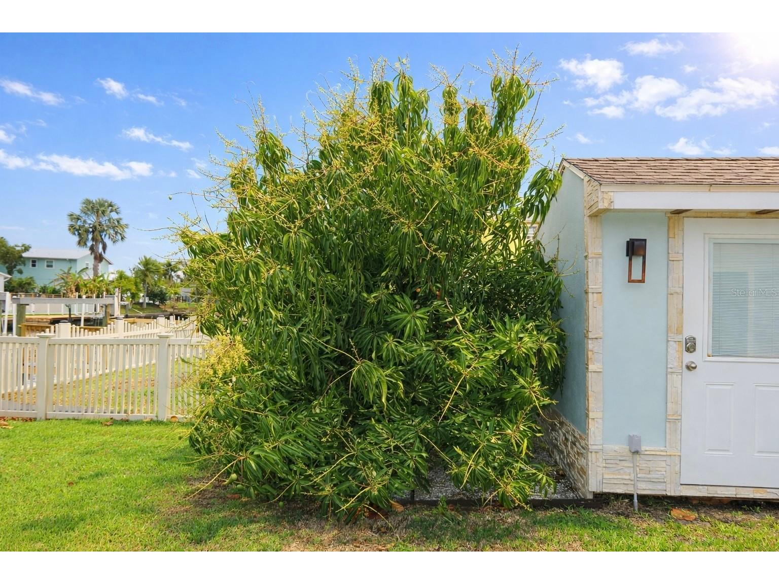 8720 Hickorywood Lane Tampa FL 33615 TB8433715 image38