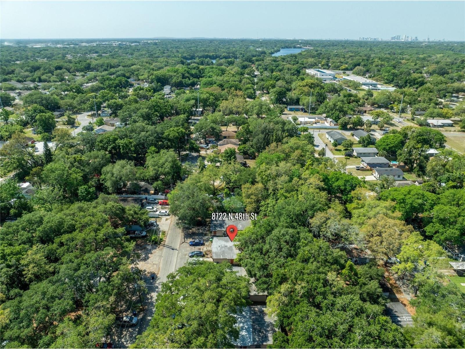 8720 N 48th Street Tampa FL 33617 TB8471903 image40