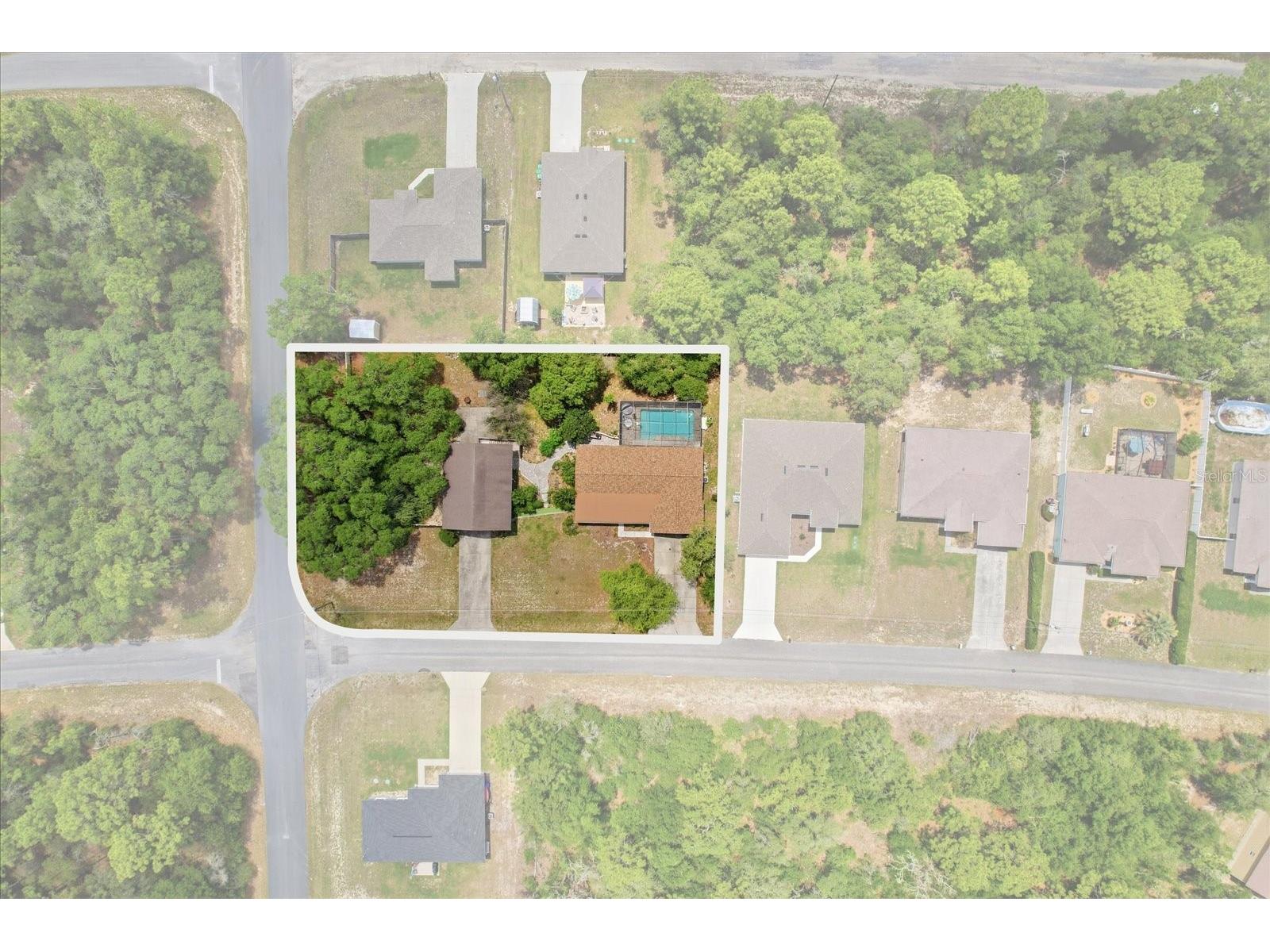 8720 N Trojan Drive Citrus Springs FL 34433 OM725044 image1