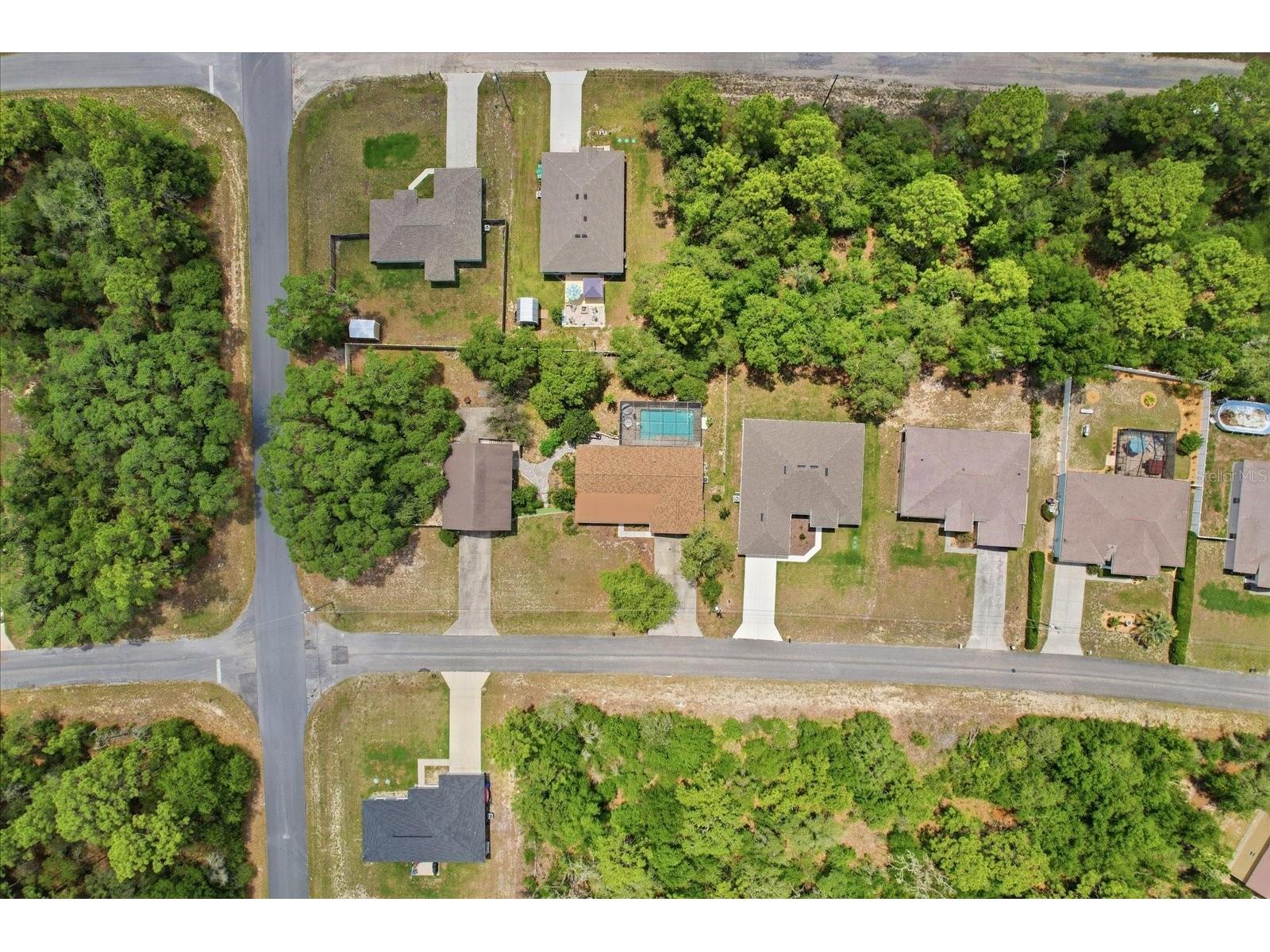 8720 N Trojan Drive Citrus Springs FL 34433 OM725044 image44
