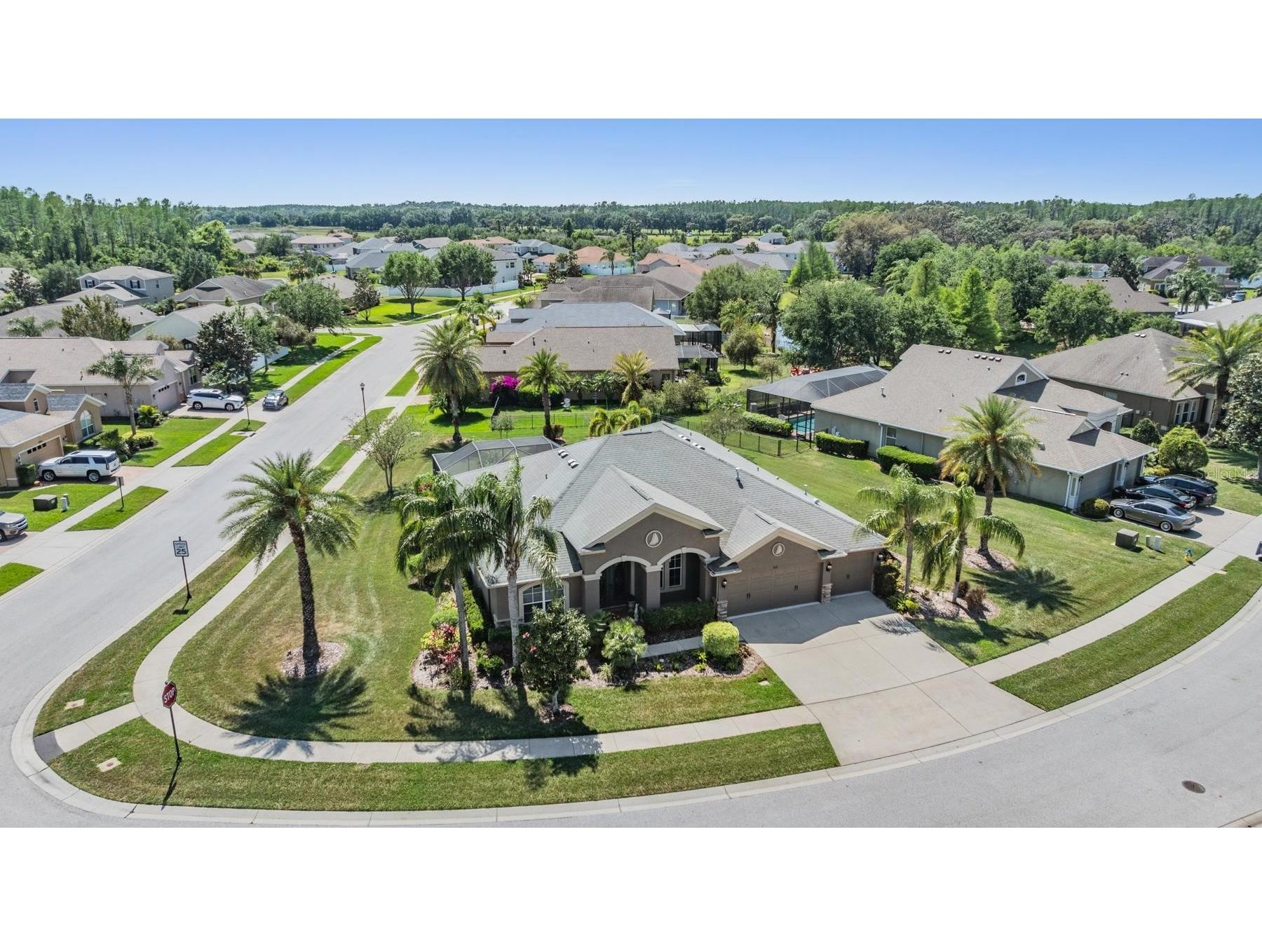 8721 Crystal Creek Court Land O Lakes FL 34638 L4961391 image3