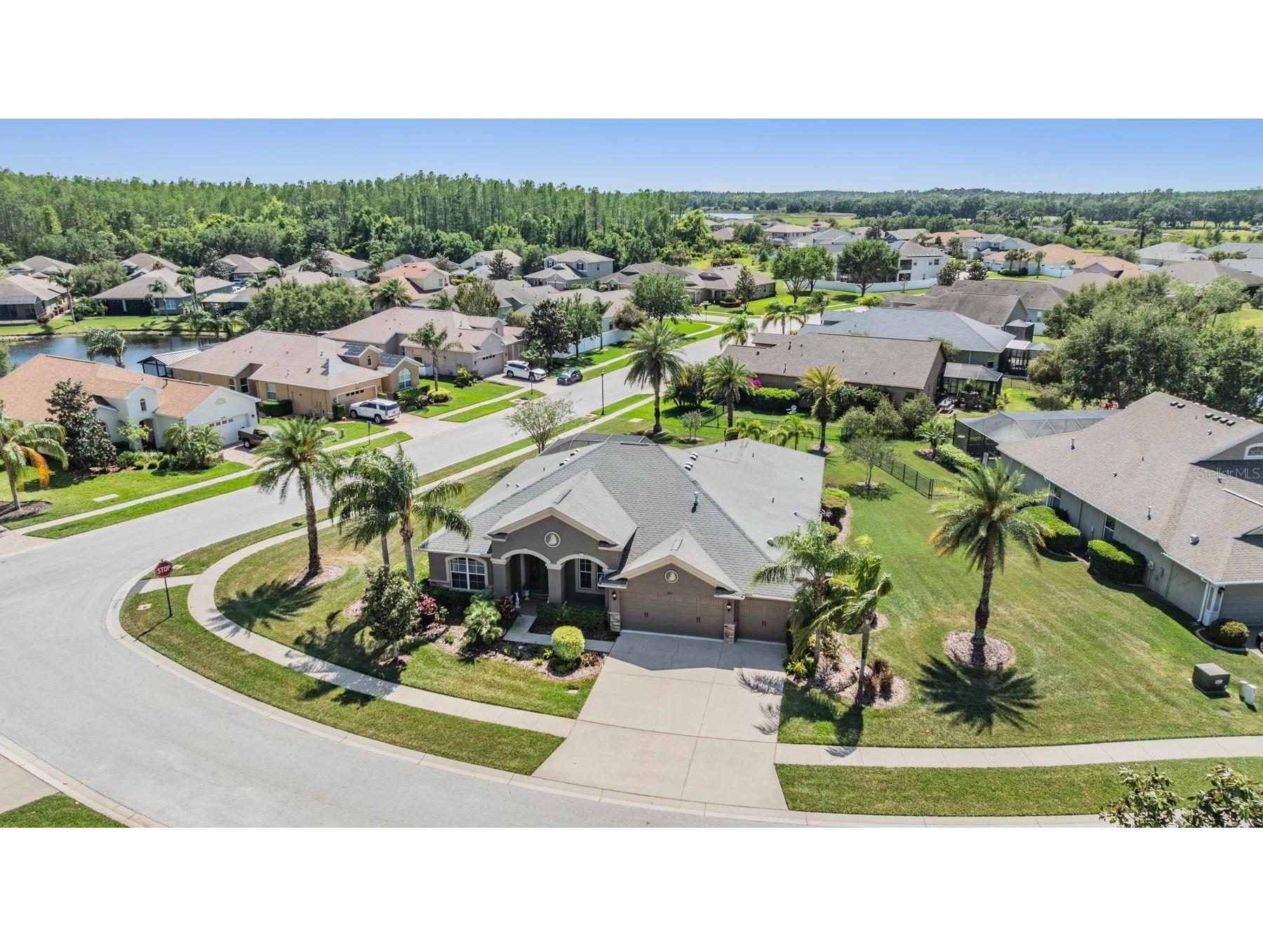 8721 Crystal Creek Court Land O Lakes FL 34638 L4961391 image4