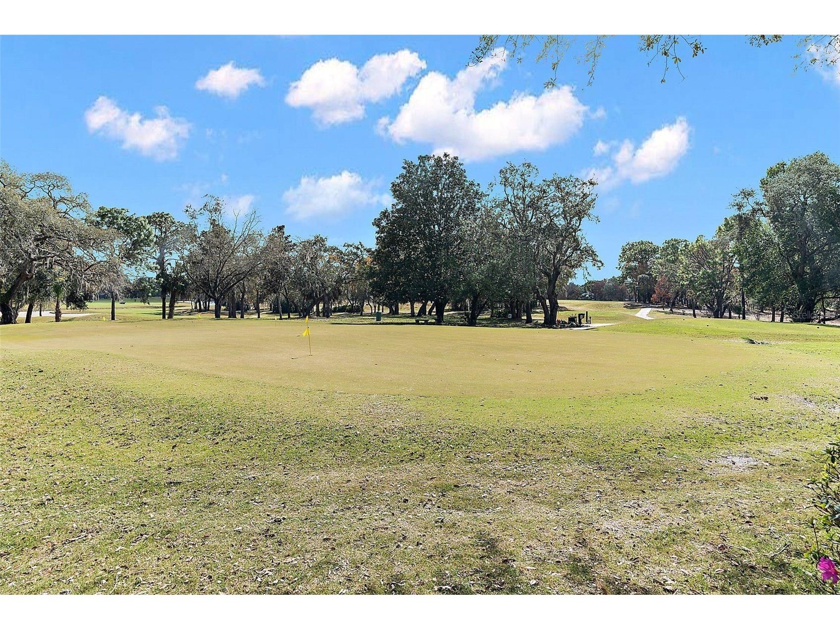 8722 Mississippi Run Weeki Wachee FL 34613 O6424358 image70