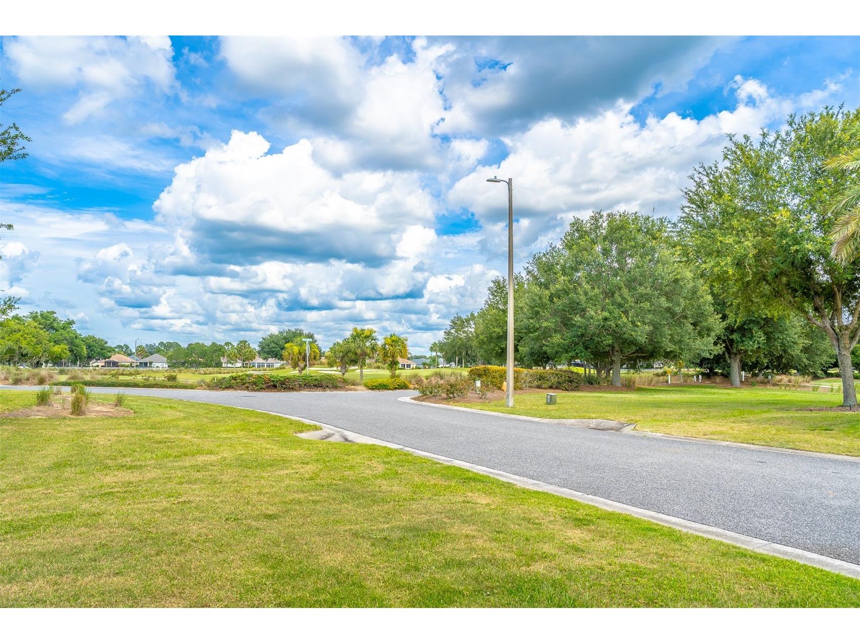 8722 SW 83rd Loop Ocala FL 34481 OM725734 image40