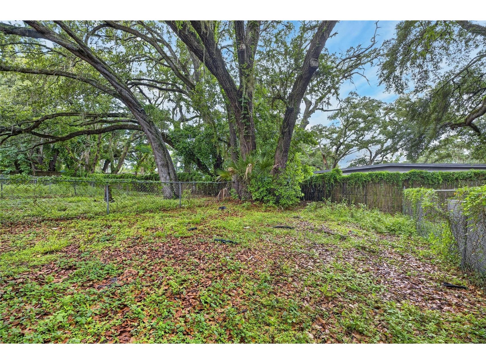 8723 & 8724 N 48th Street Tampa FL 33617 TB8523844 image25