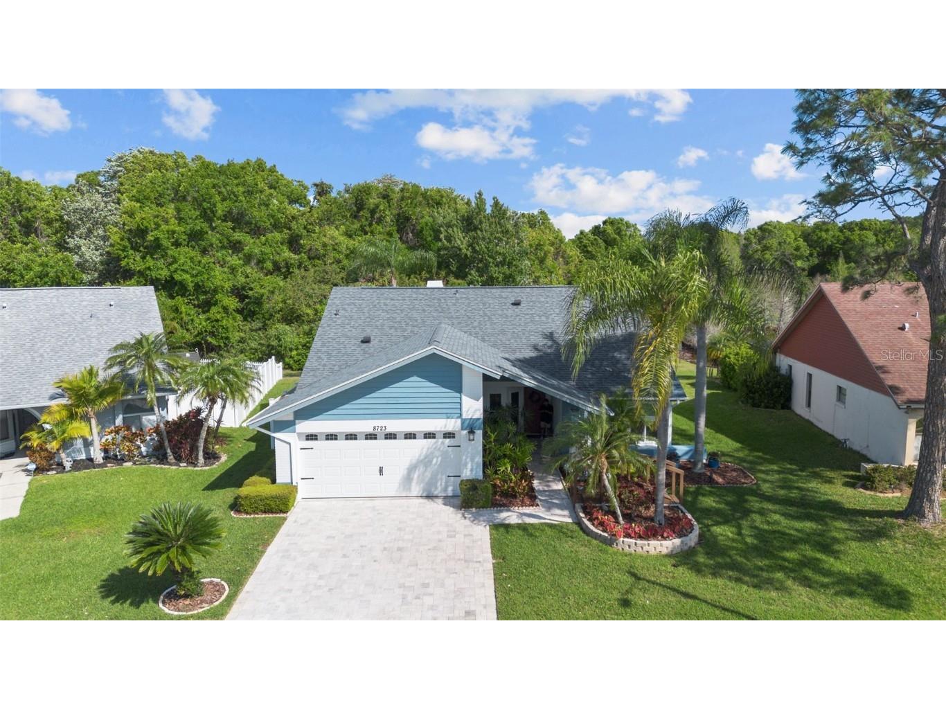 8723 Boysenberry Drive Tampa FL 33635 T3514656 image1