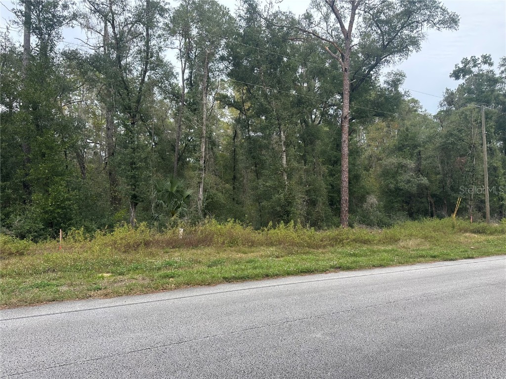 8723 N Alameda Drive Dunnellon FL 34434 G5104196 image2