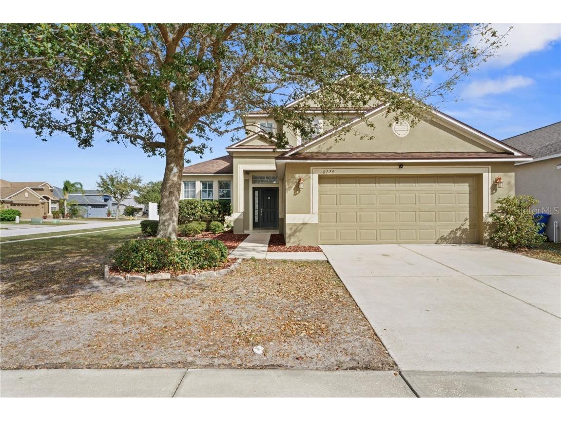 8723 Sandy Plains Drive Riverview FL 33578 T3503388 image1