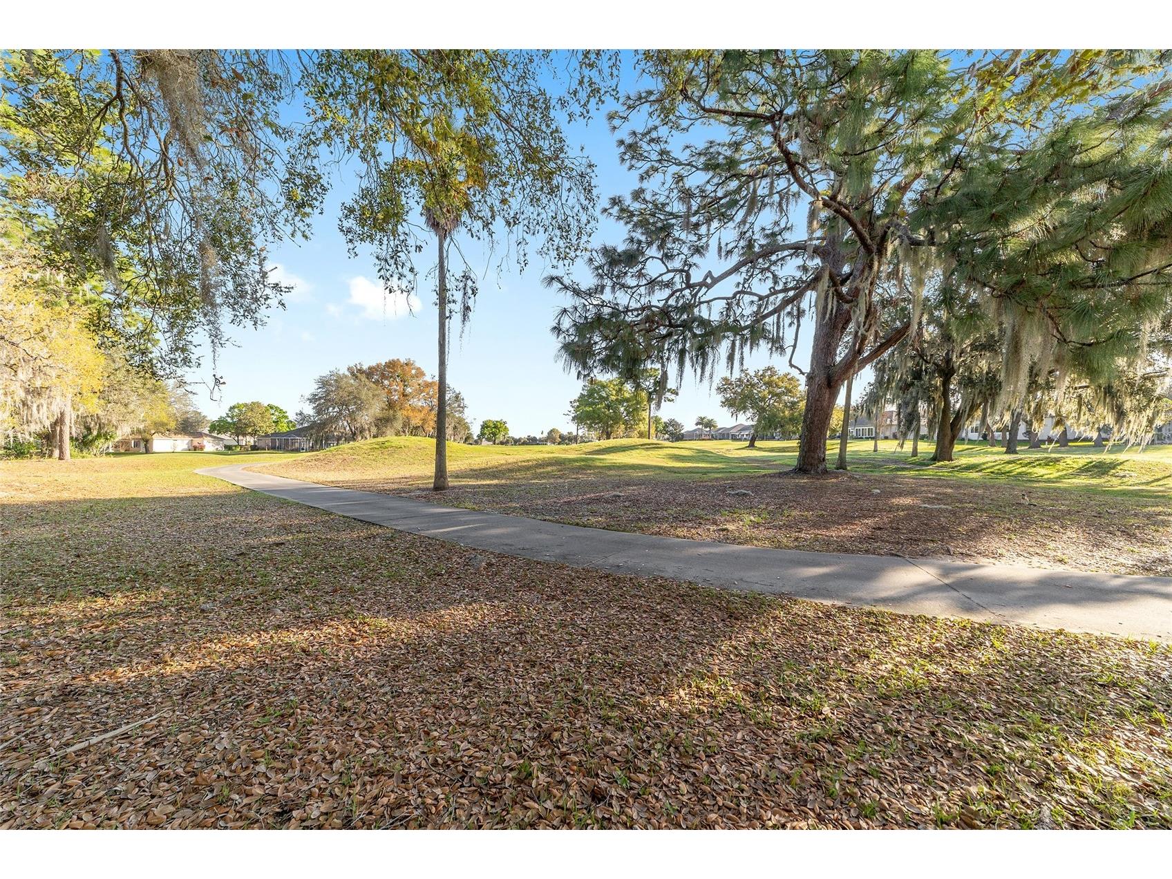 8723 SE 130th Loop Summerfield FL 34491 G5109421 image42