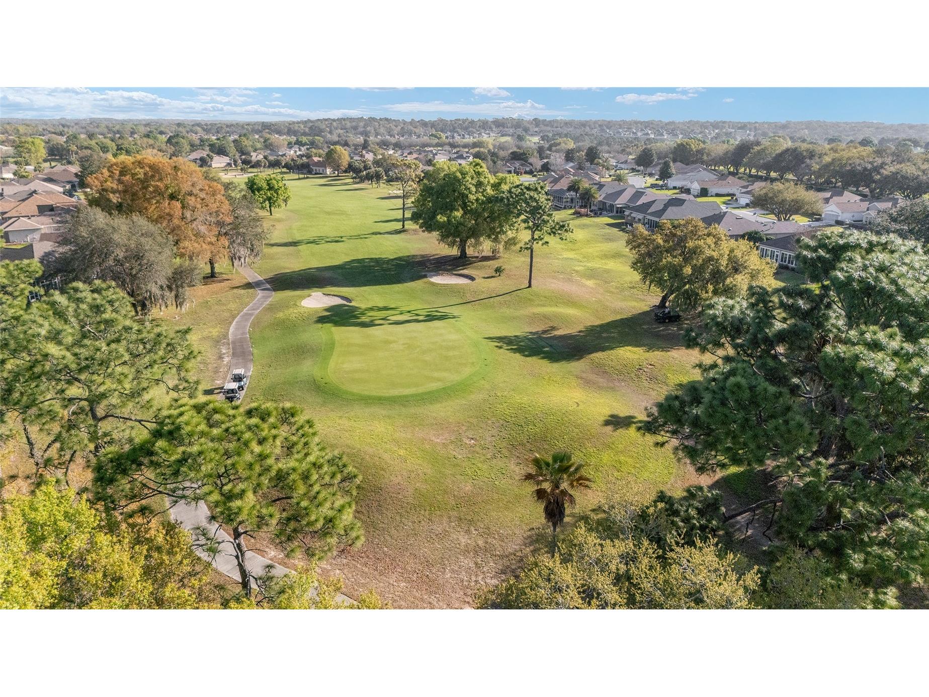 8723 SE 130th Loop Summerfield FL 34491 G5109421 image53