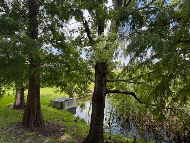 8723 Turnstone Haven Place Tampa FL 33619 TB8412436 image23