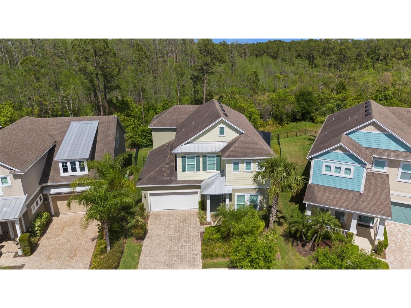 8724 Peachtree Park Court Windermere FL 34786 S5135795 image37