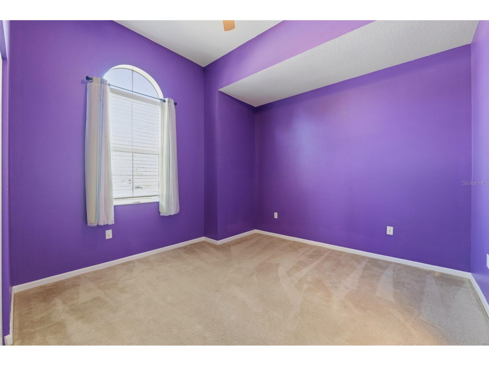 8724 Preston Woods Court Land O Lakes FL 34638 TB8502650 image46