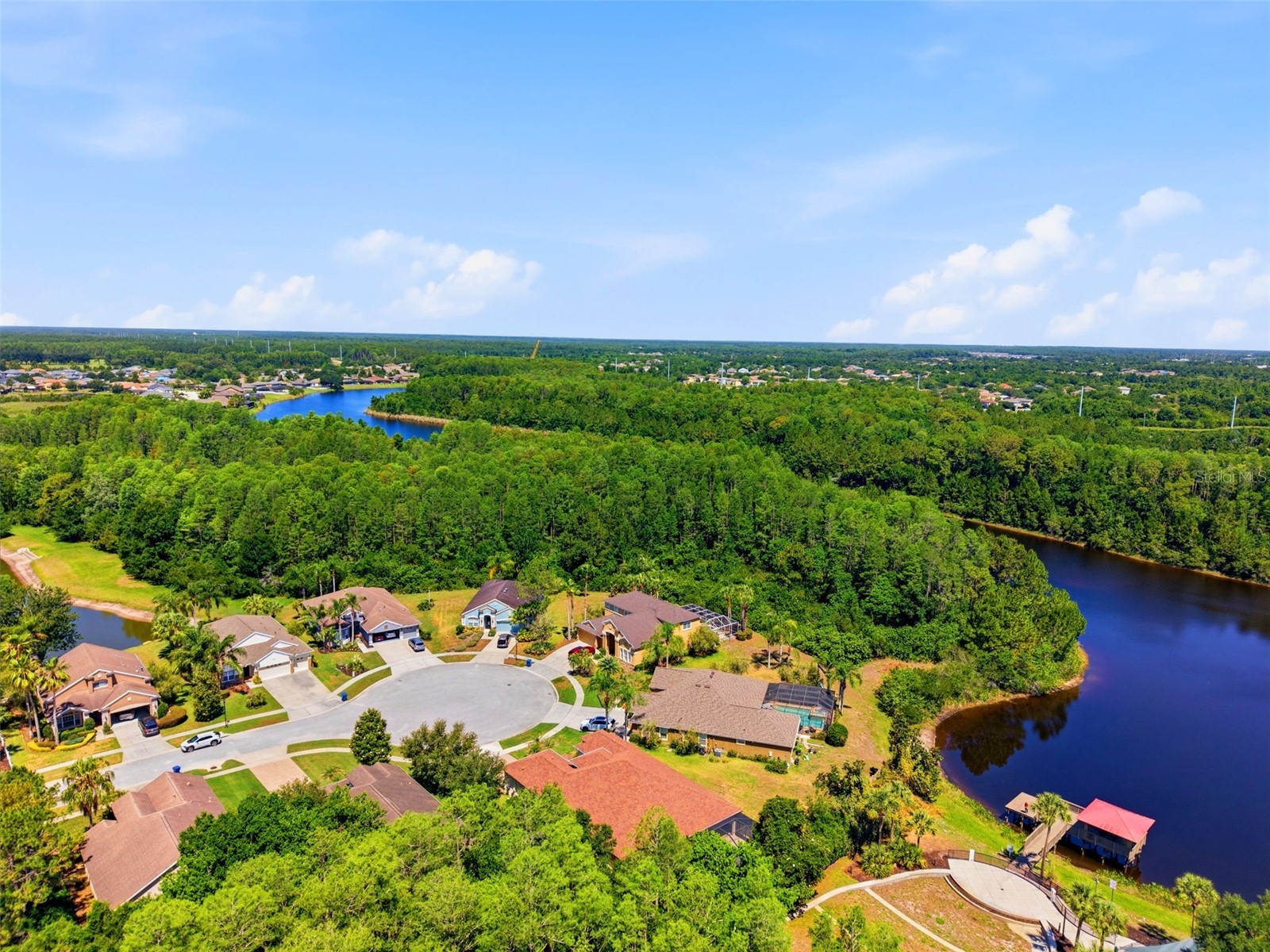 8724 Preston Woods Court Land O Lakes FL 34638 TB8502650 image52