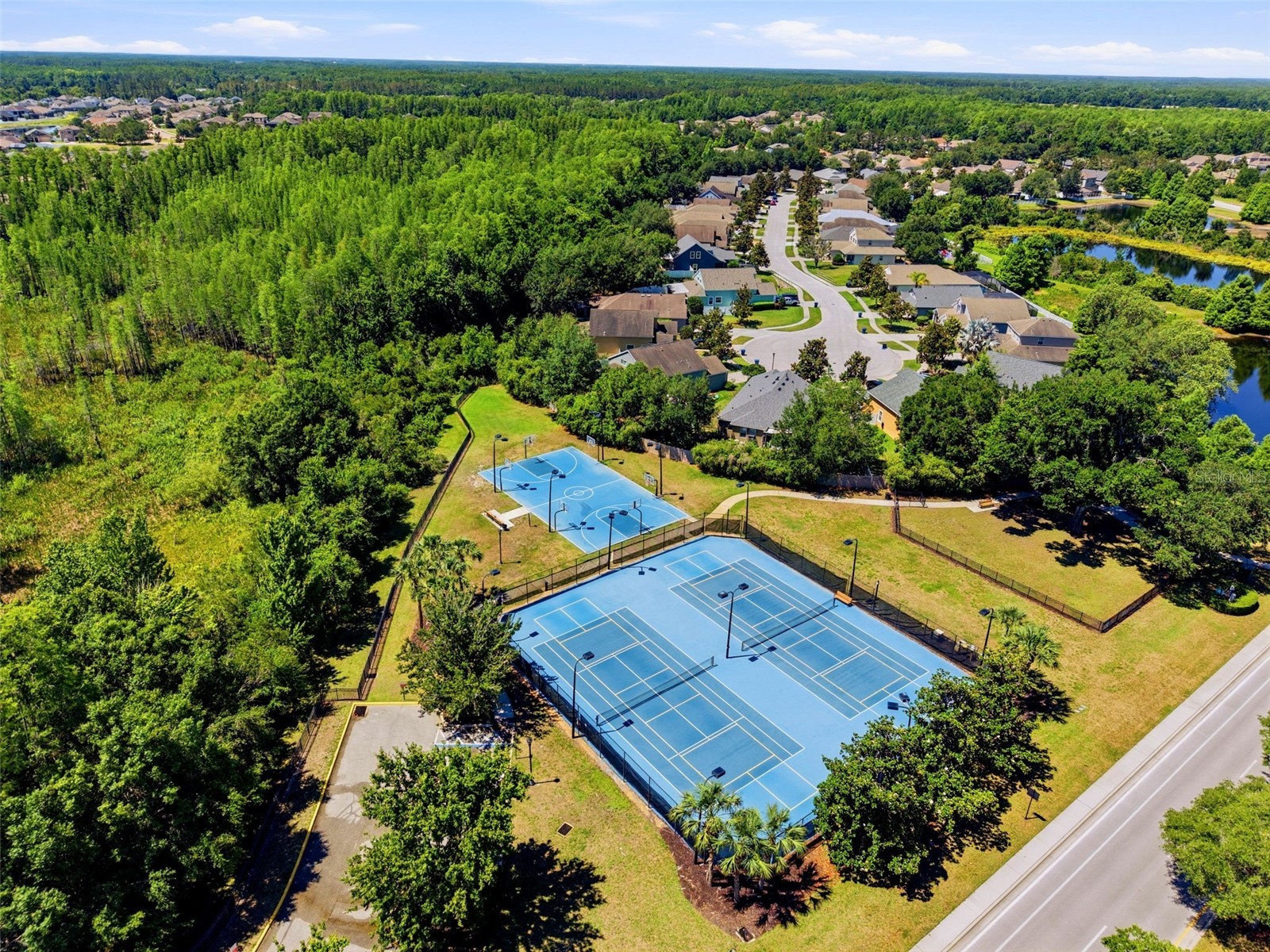 8724 Preston Woods Court Land O Lakes FL 34638 TB8502650 image58