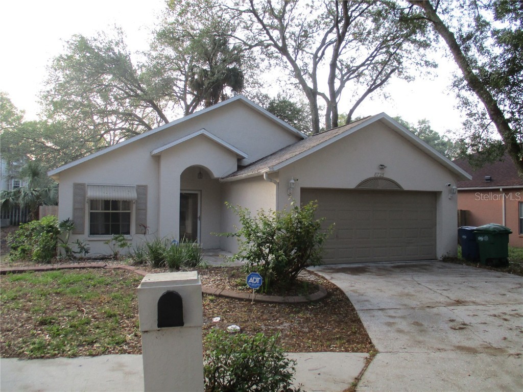 8725 Busch Oaks Street Tampa FL 33617 T3440384 image1