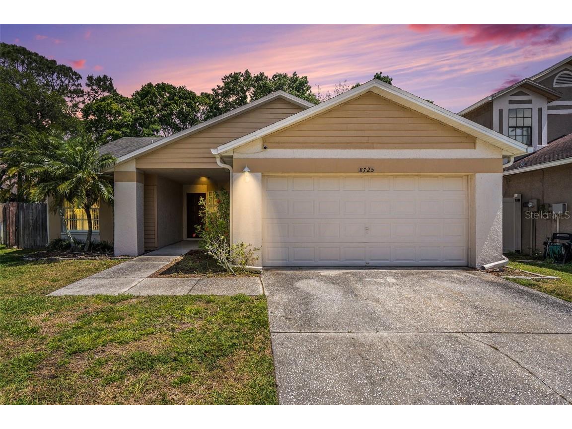 8725 Huntfield Street Tampa FL 33635 T3515615 image1