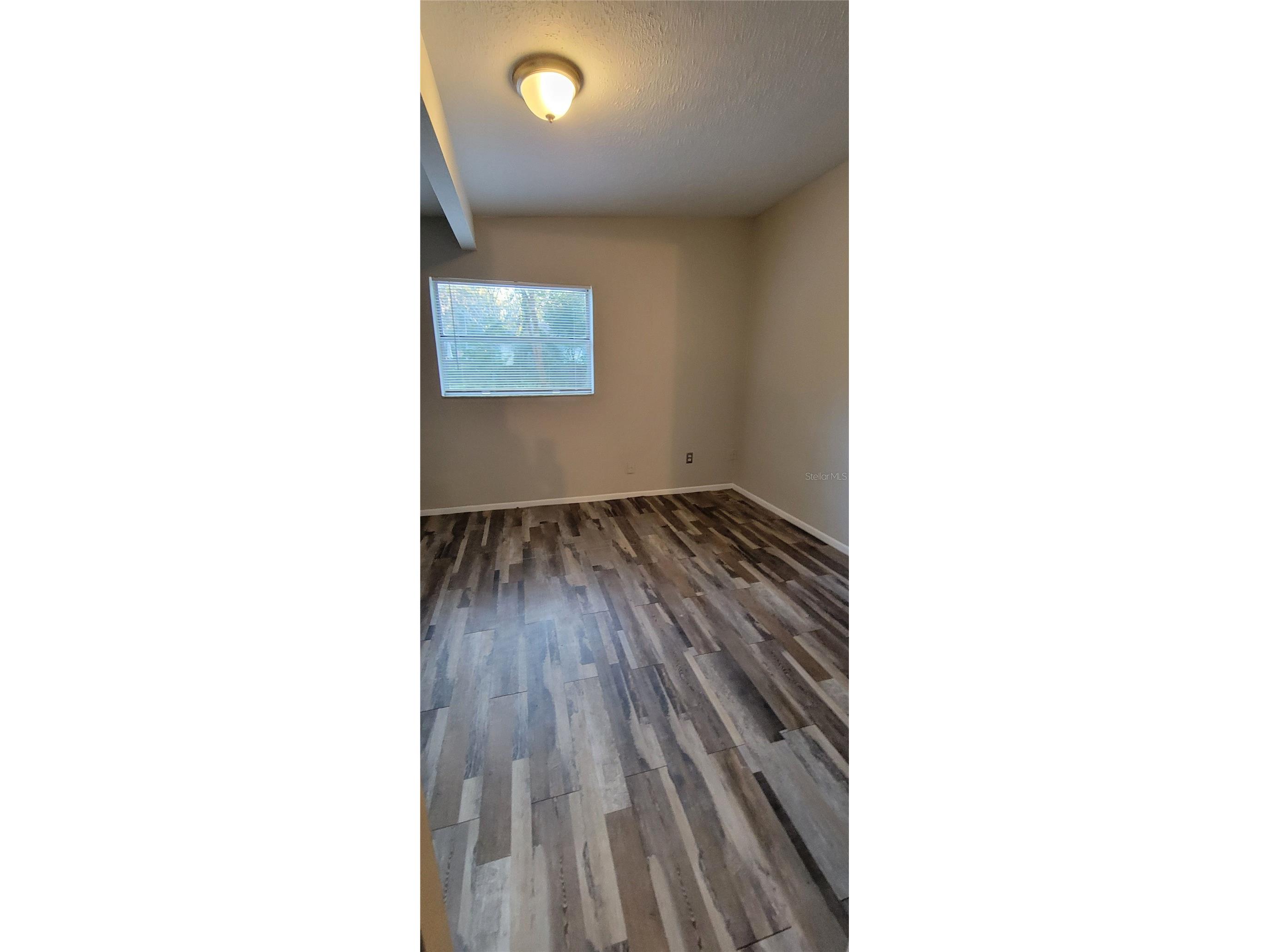 8725 N 48th Street #A Tampa FL 33617 O6396866 image19