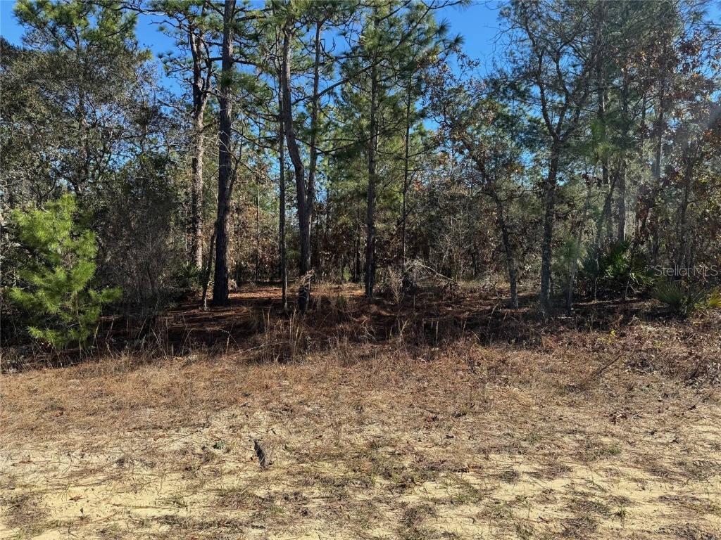 8725 N Iberian Drive Citrus Springs FL 34433 GC518398 image1