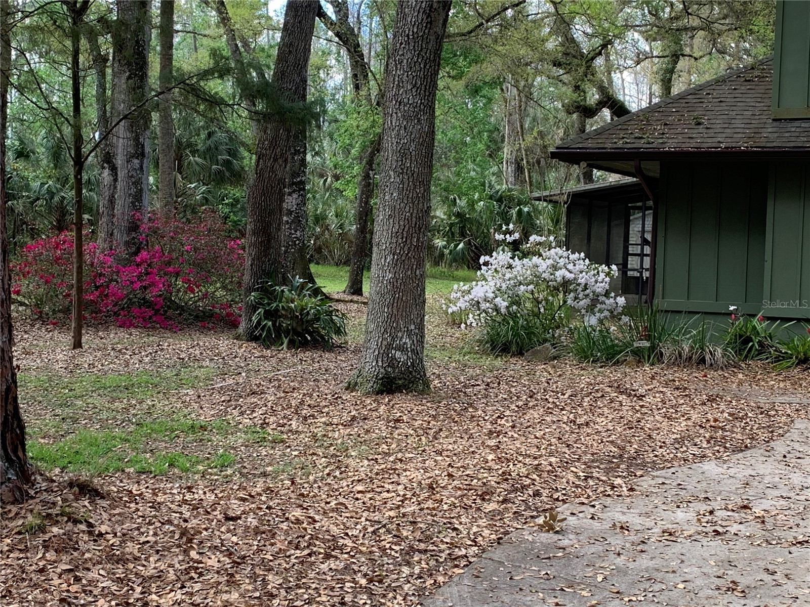 8725 Quail Run Drive Wesley Chapel FL 33544 A4676431 image17