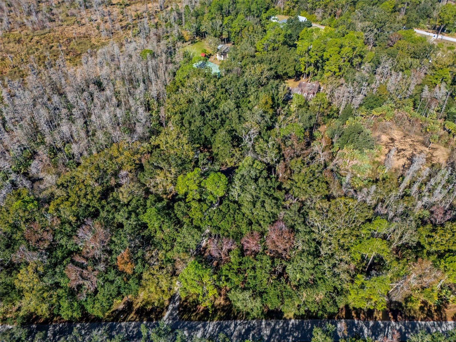 8725 Quail Run Drive Wesley Chapel FL 33544 A4676431 image2