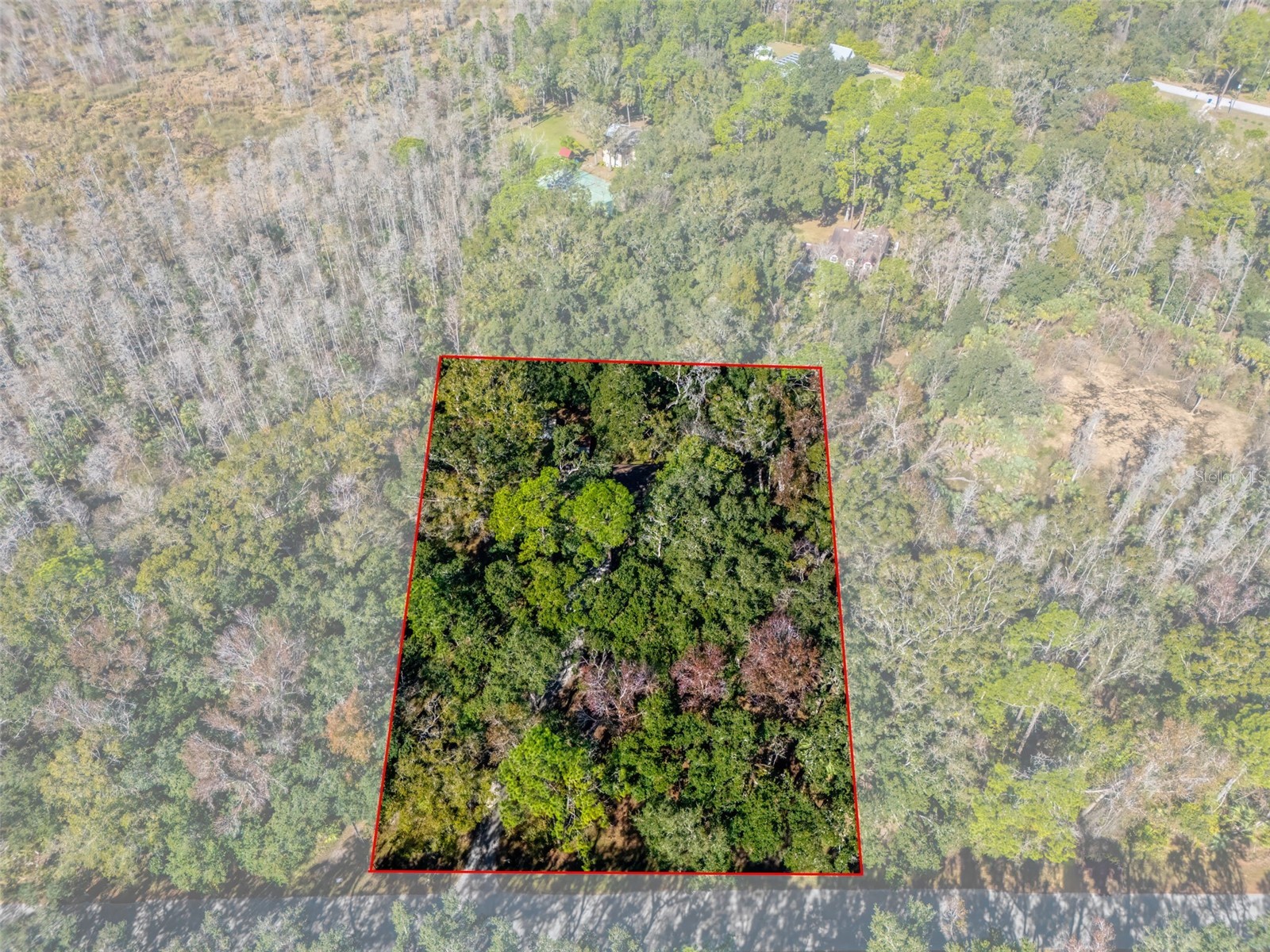 8725 Quail Run Drive Wesley Chapel FL 33544 A4676431 image3
