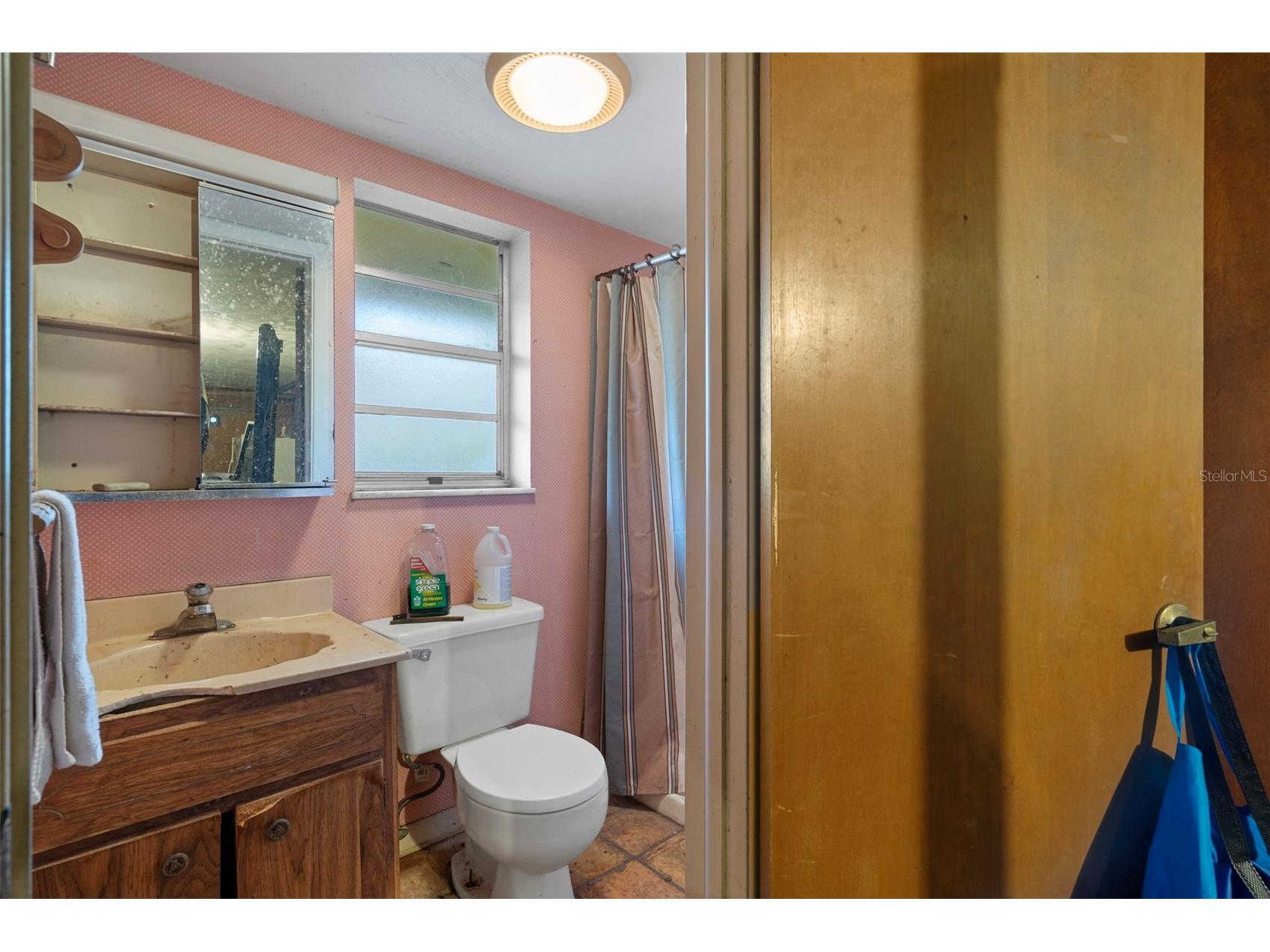 8725 Quail Run Drive Wesley Chapel FL 33544 A4676431 image59