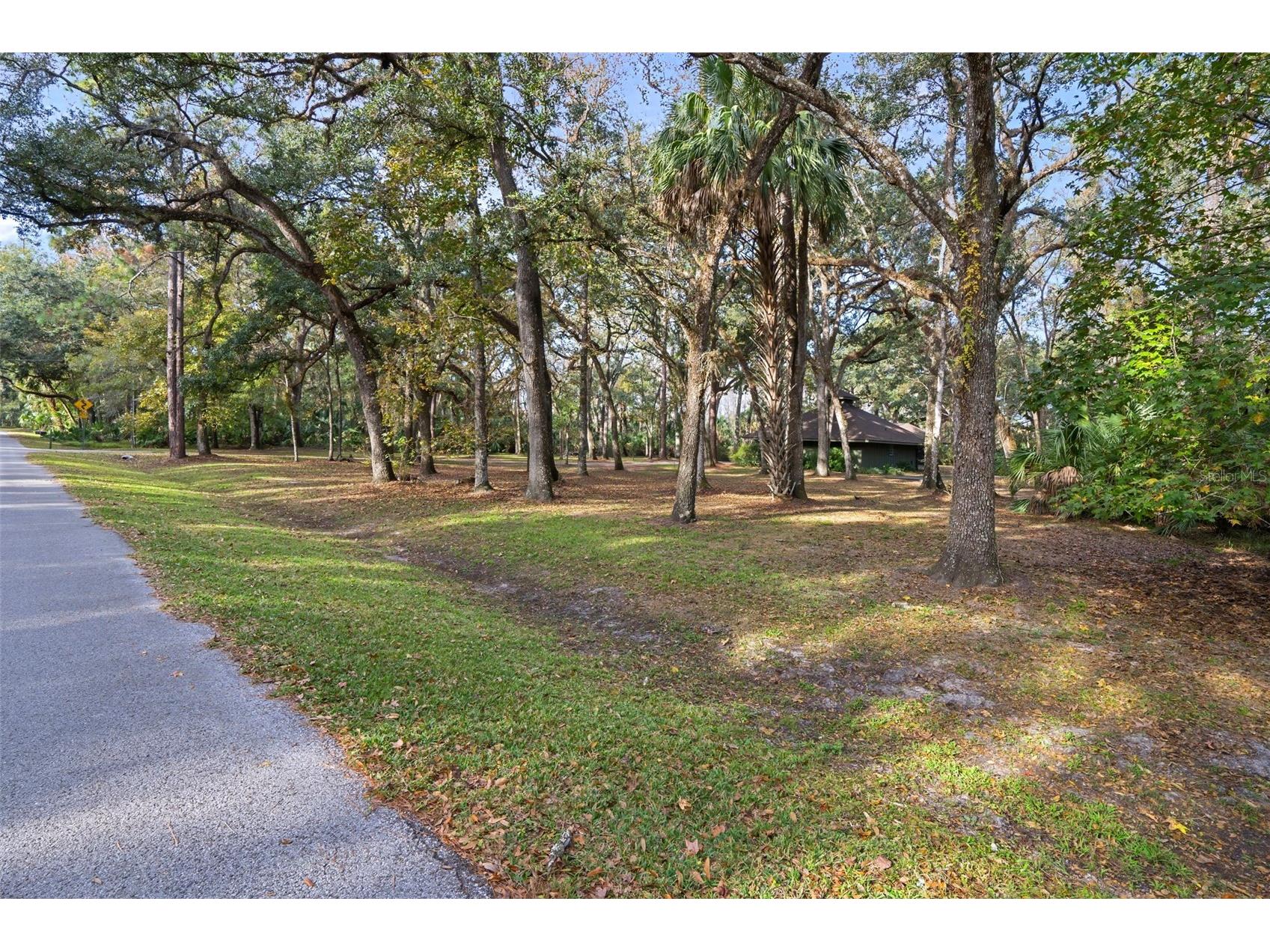 8725 Quail Run Drive Wesley Chapel FL 33544 A4676431 image8