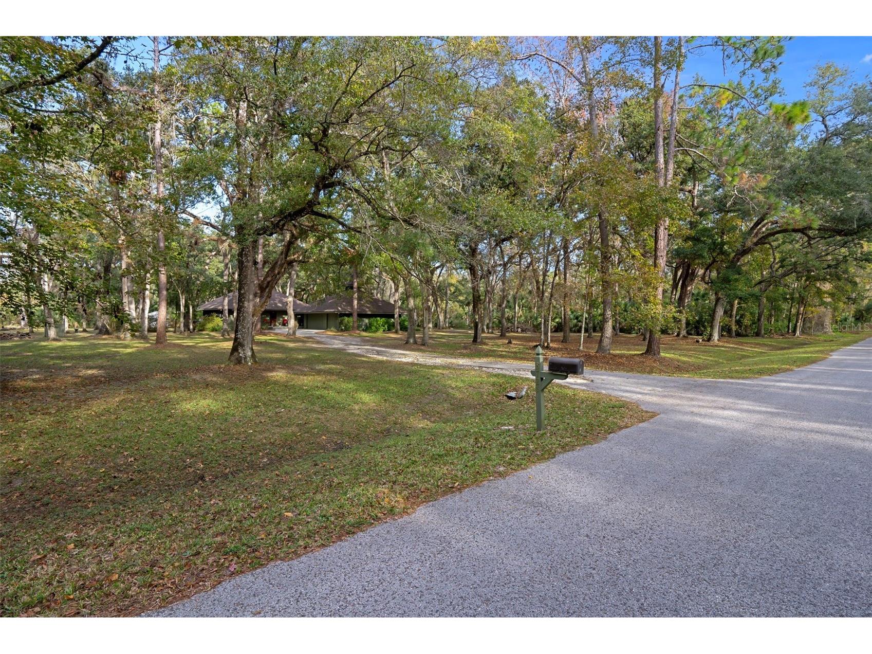 8725 Quail Run Drive Wesley Chapel FL 33544 A4676431 image9
