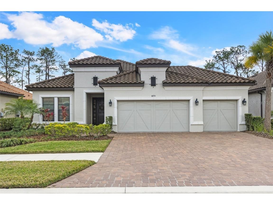8725 Sorano Villa Drive Tampa FL 33647 T3428140 image1