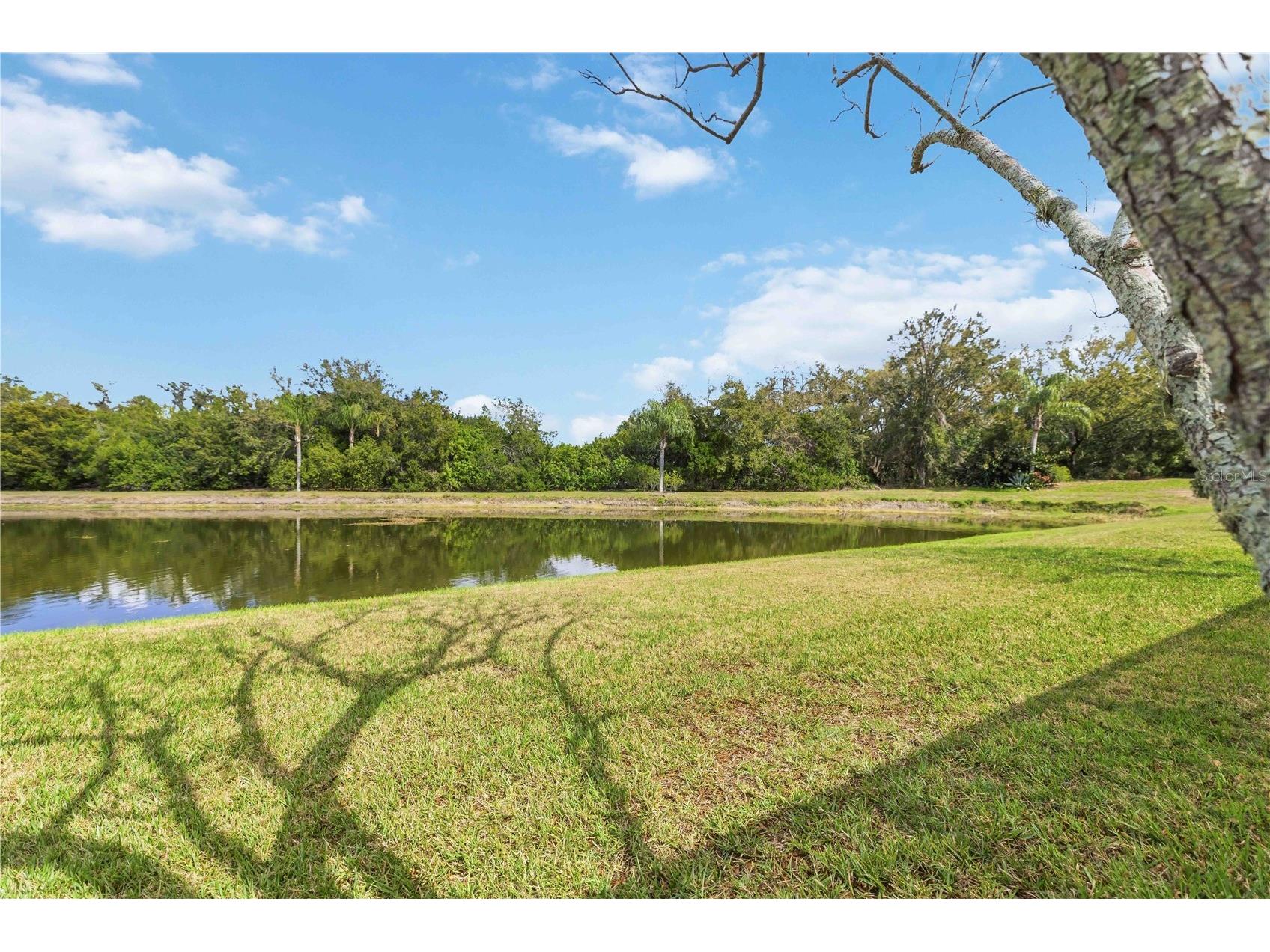 8725 Stone Harbour Loop Bradenton FL 34212 A4684657 image45