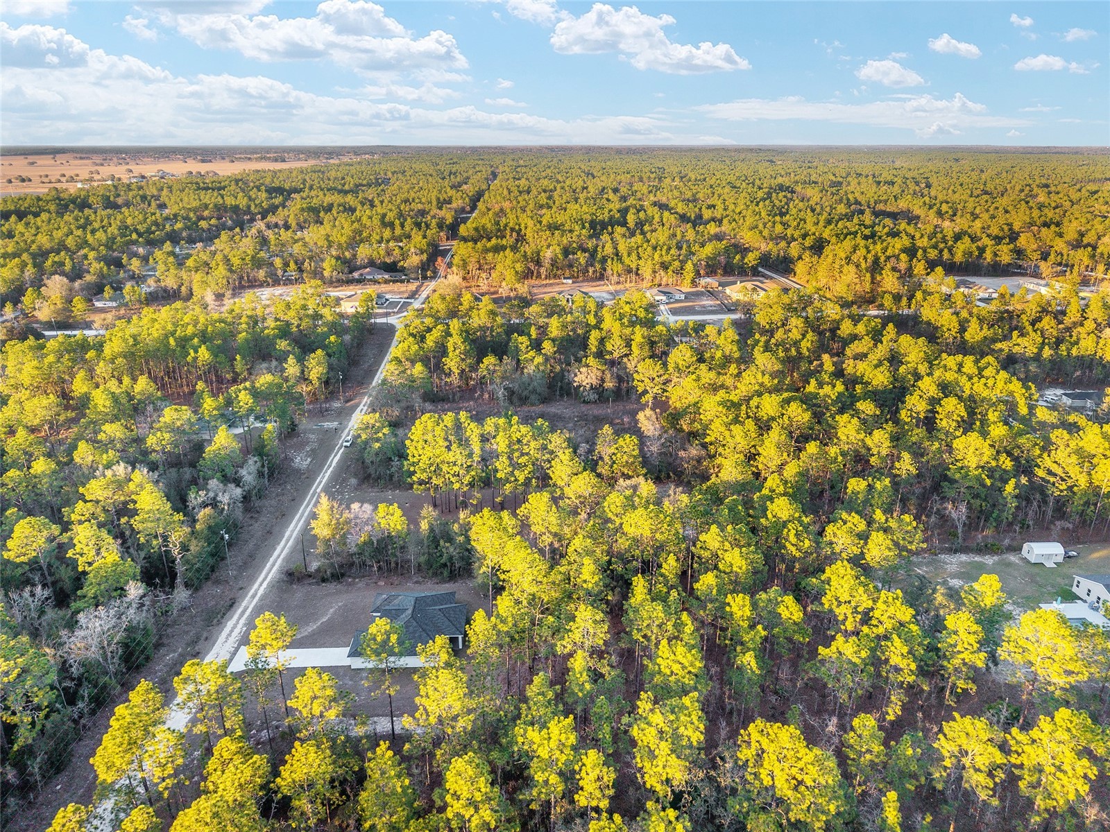 8725 SW 136th Terrace Dunnellon FL 34432 OM717785 image77