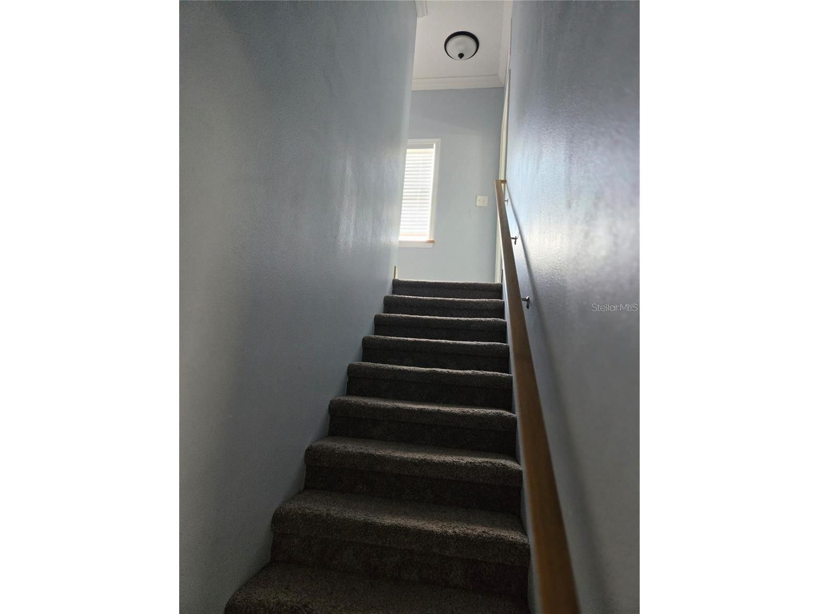 8725 Twin Lakes Boulevard Tampa FL 33614 TB8524055 image41