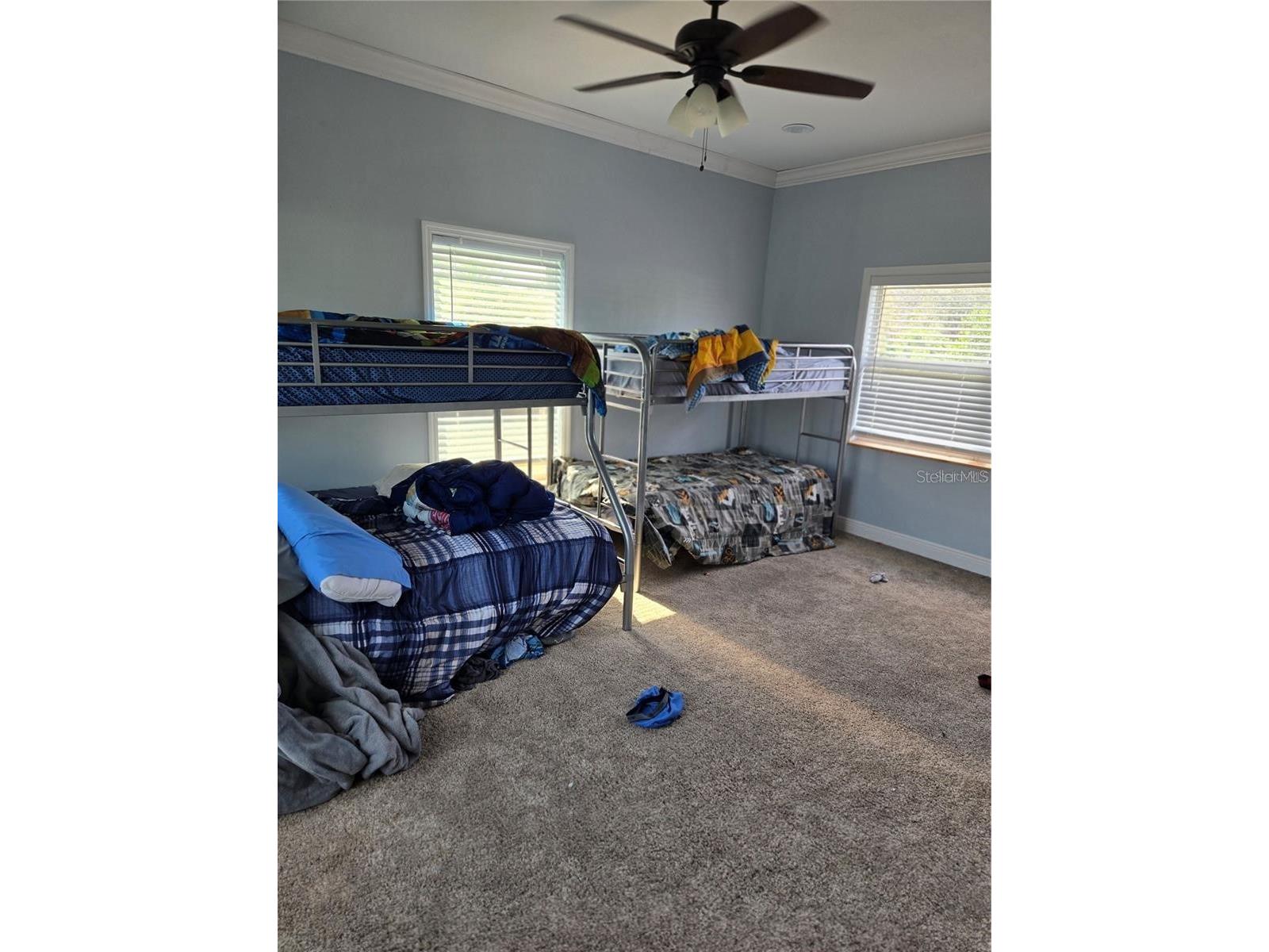 8725 Twin Lakes Boulevard Tampa FL 33614 TB8524055 image42
