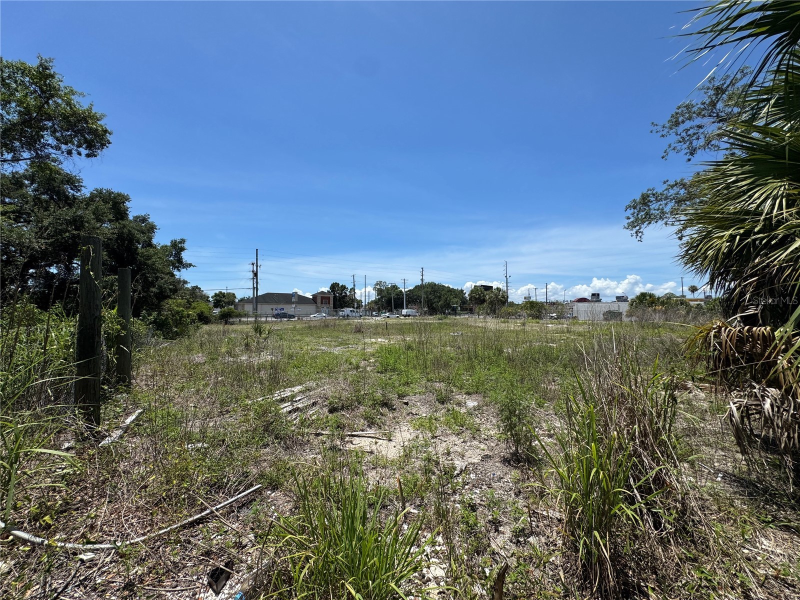 8725 W Waters Avenue Tampa FL 33615 TB8512708 image4