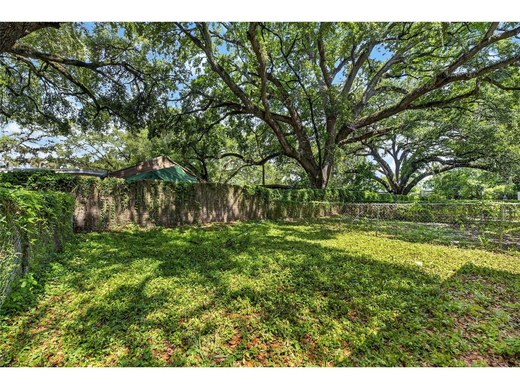 8726 & 8728 N 48th Street Tampa FL 33617 TB8523851 image29