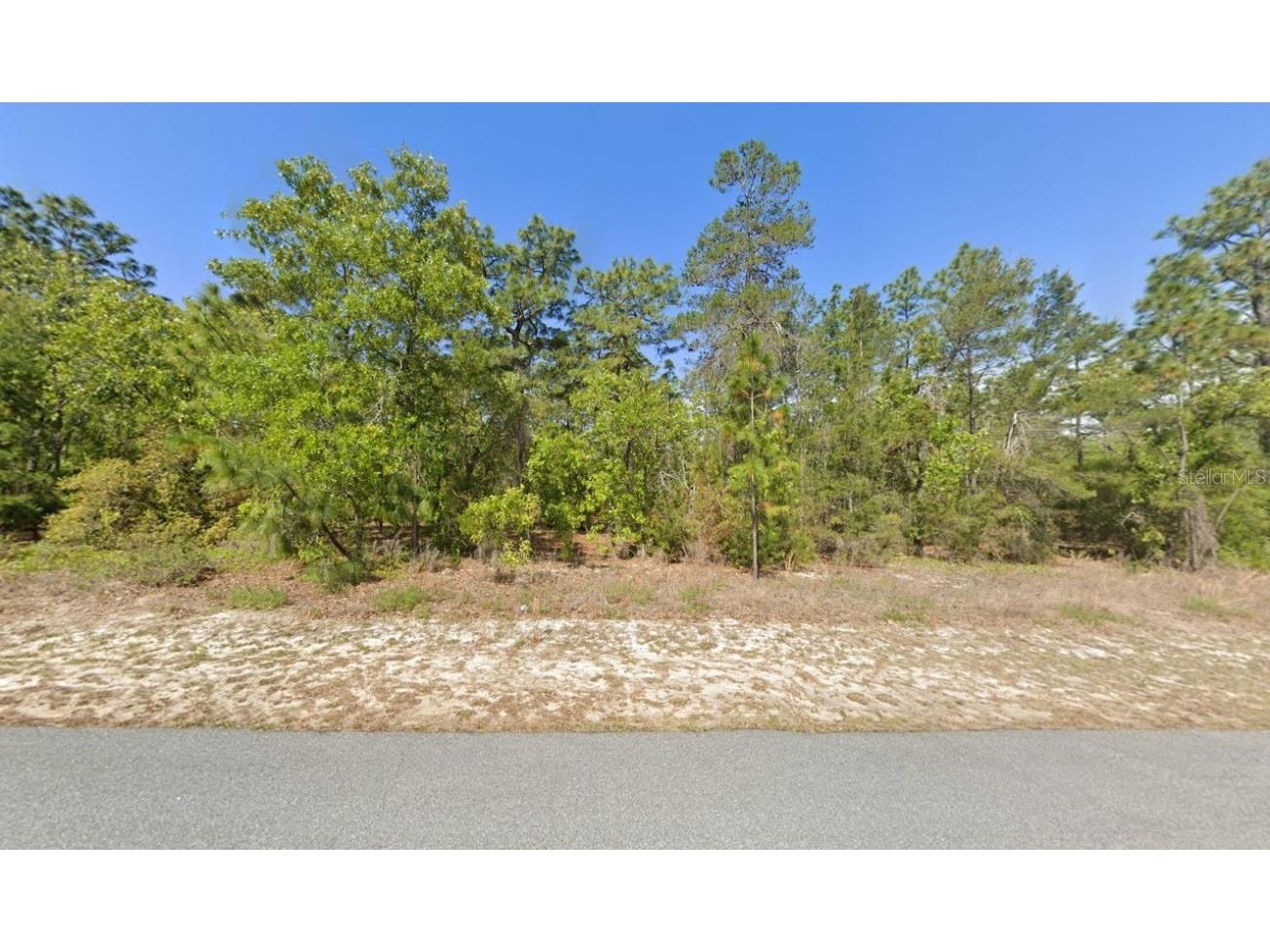 8726 N Iberian Drive Citrus Springs FL 34433 OK224418 image1