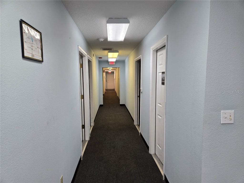 8726 Old County Road 54 New Port Richey FL 34653 TB8378965 image16