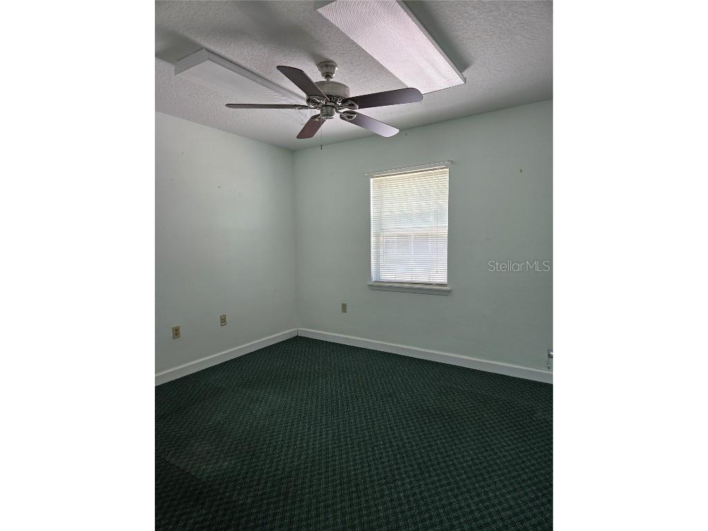 8726 Old County Road 54 New Port Richey FL 34653 TB8378965 image17