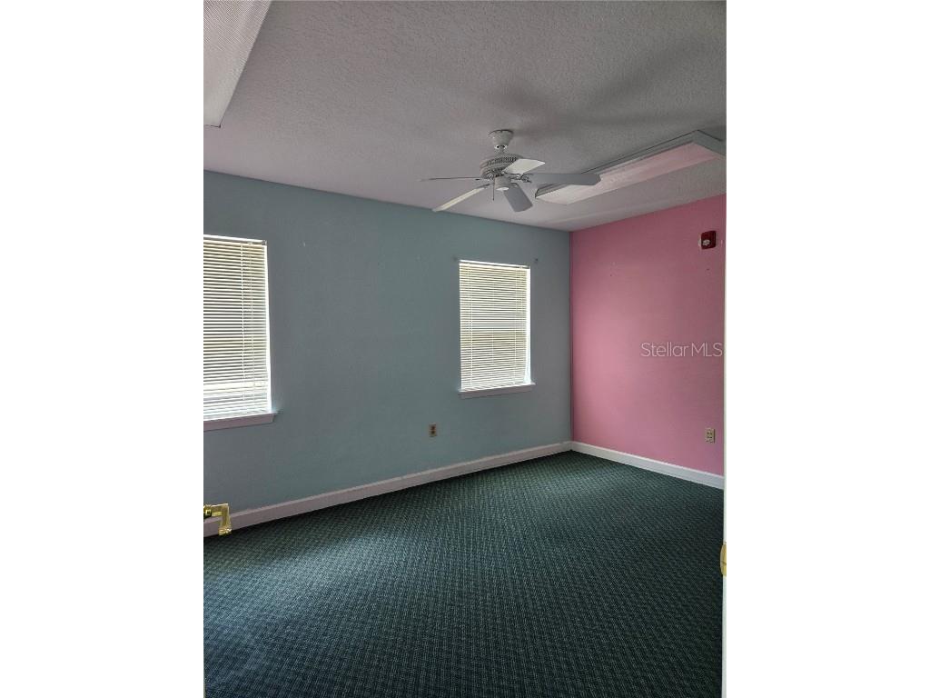 8726 Old County Road 54 New Port Richey FL 34653 TB8378965 image28