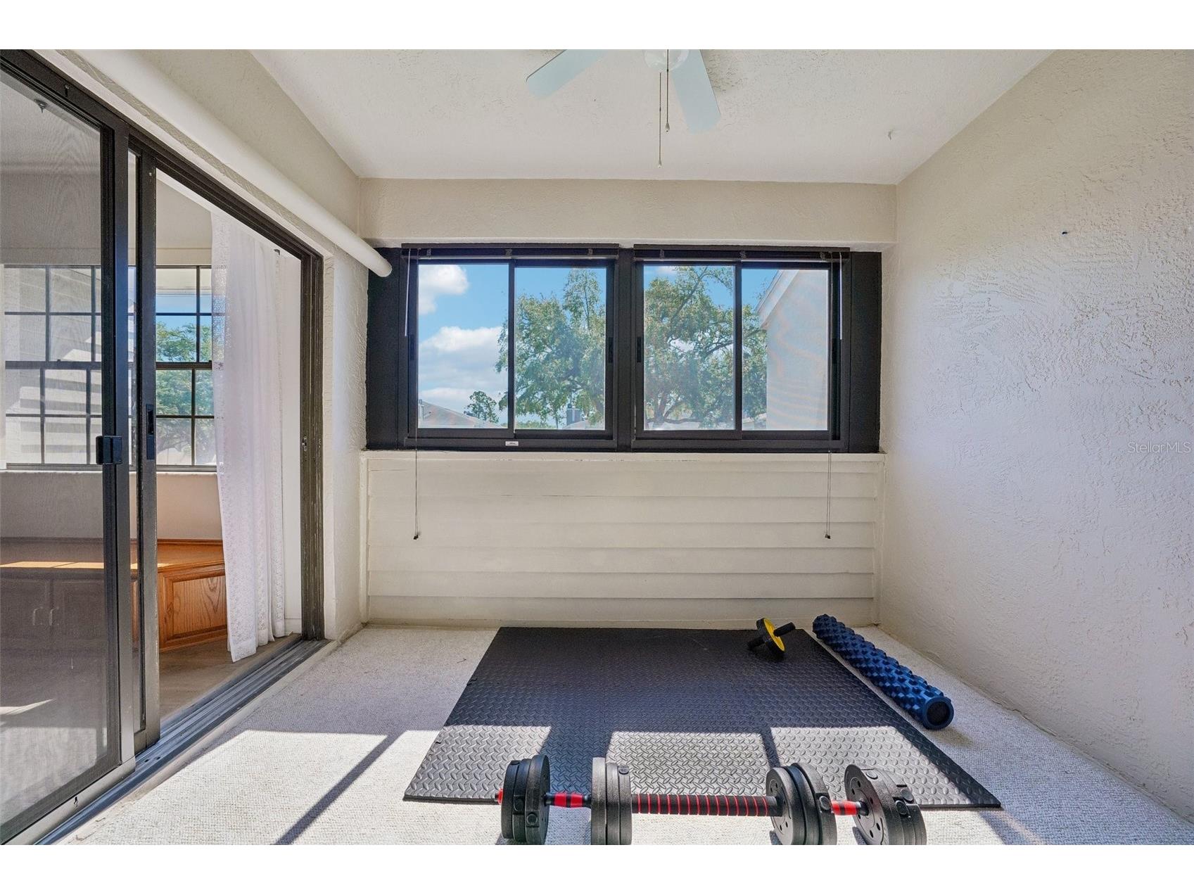 8727 Bardmoor Place #204 Seminole FL 33777 TB8502044 image17