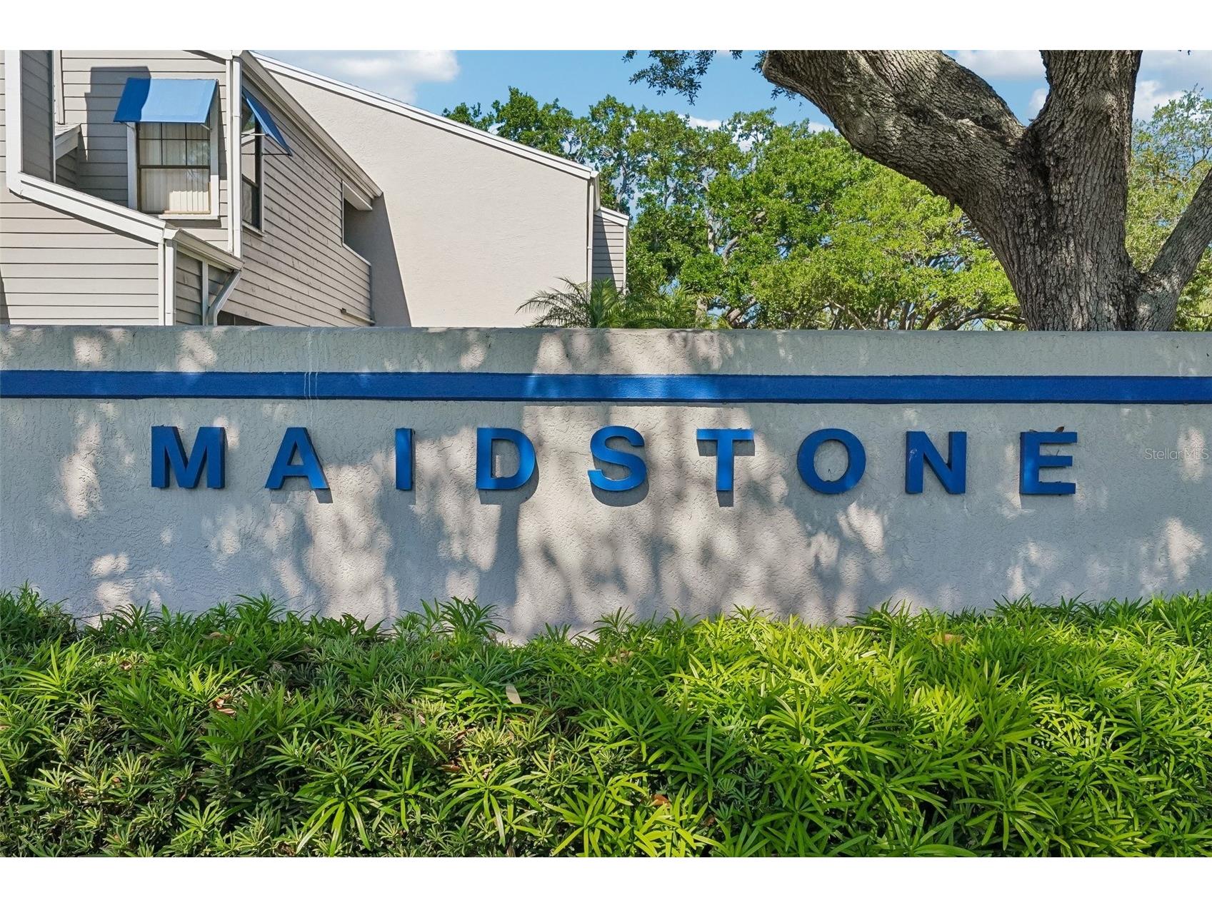 8727 Bardmoor Place #204 Seminole FL 33777 TB8502044 image23