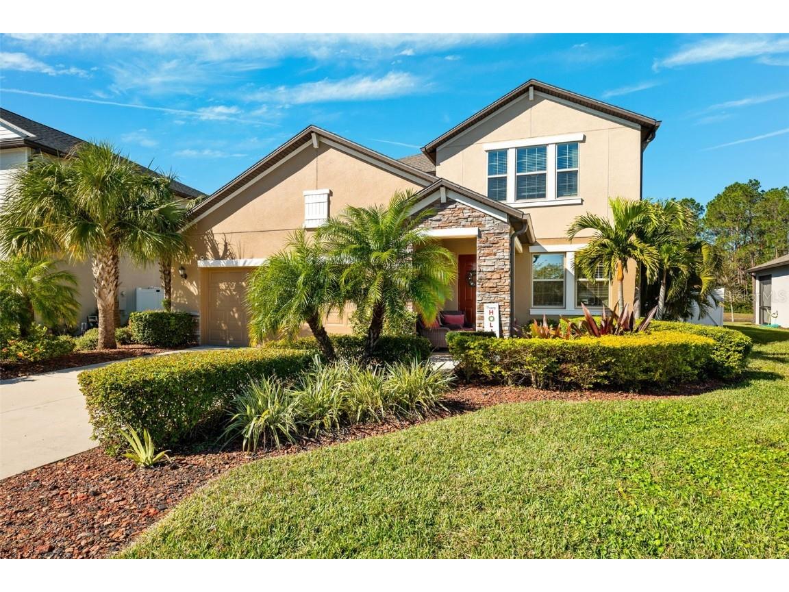 8727 Savory Walk Drive Land O Lakes FL 34637 TB8329300 image1
