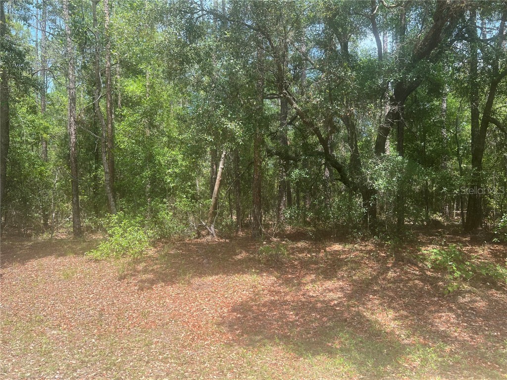 8729 N Wallingford Avenue Dunnellon FL 34434 G5097166 image1
